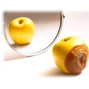 Maçã aparentemente perfeita refletida em um espelho, enquanto a fruta real apresenta uma grande parte apodrecida, simbolizando julgamentos superficiais e preconceito.
